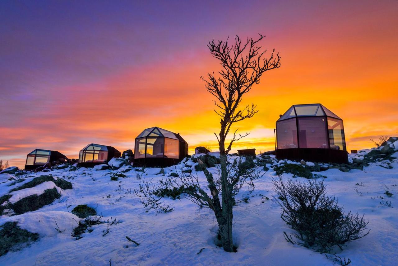 Kalle'S Inn Glass Houses Soderudden Екстериор снимка